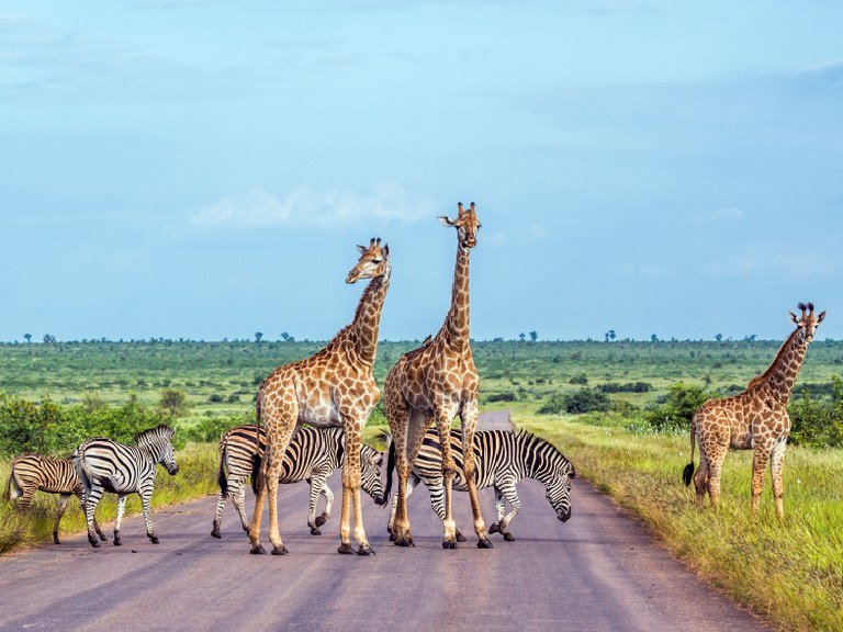 southafricabesttimetovisit