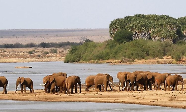 TsavoWestNationalParkx