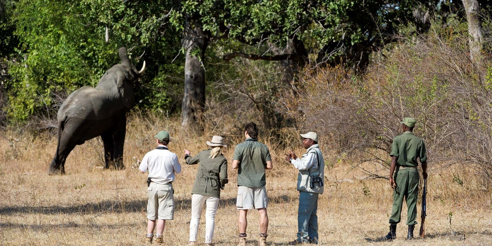 walkingsafariwithelephant