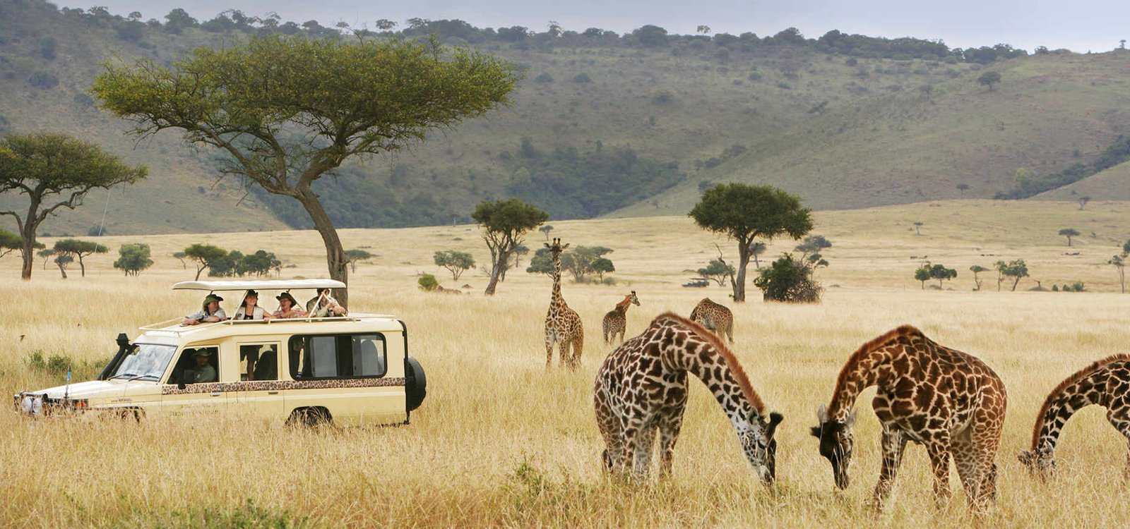 dayskenyawildlifesafaribannernew