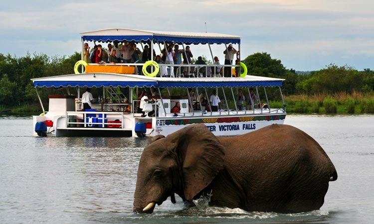 ShearwaterZambeziRiverCruise